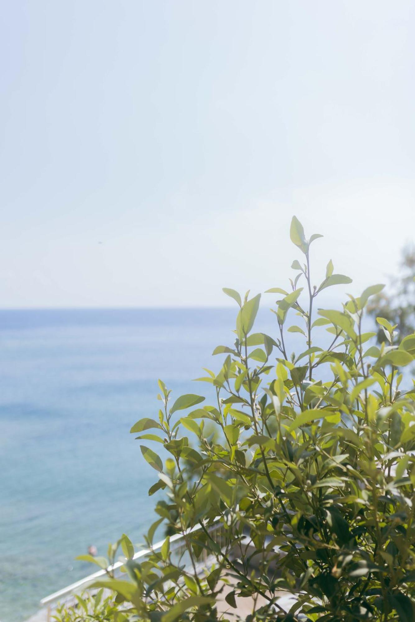 Peninsula Resort&Spa Agia Pelagia  Luaran gambar